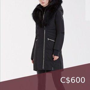 authentic brand new rudsak women winter jacket